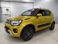 usato SUZUKI Ignis
