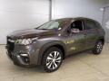 usato SUZUKI S Cross
