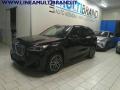 usato BMW X1
