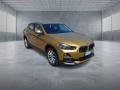 usato BMW X2