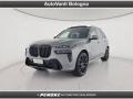usato BMW X7