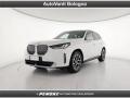 usato BMW X3