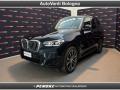 usato BMW X3