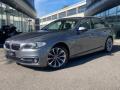 usato BMW 525