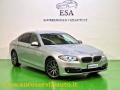 usato BMW 528