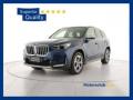 usato BMW X1