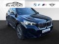 usato BMW X1