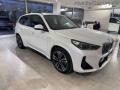 usato BMW X1