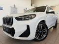 usato BMW X1