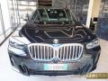 usato BMW X3