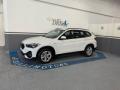 usato BMW X1