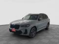 usato BMW X3
