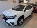 usato SUZUKI S Cross
