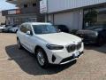 usato BMW X3