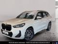 usato BMW X1
