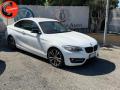 usato BMW 220