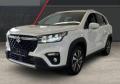 usato SUZUKI S Cross