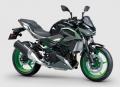 nuovo KAWASAKI Z 500