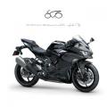 nuovo KAWASAKI Ninja ZX 4RR