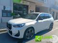 usato BMW X1