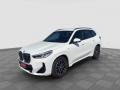 usato BMW X1