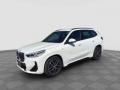 usato BMW X1