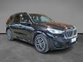 usato BMW X1