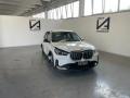 usato BMW iX1