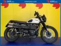 usato TRIUMPH Street Scrambler