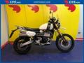 usato TRIUMPH Scrambler