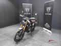 usato TRIUMPH Scrambler