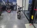 nuovo TRIUMPH Speed Twin