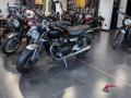 nuovo TRIUMPH Speed Twin