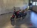 nuovo TRIUMPH Altro