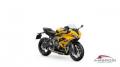 nuovo TRIUMPH Daytona 660