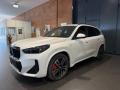 usato BMW X1
