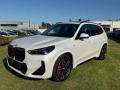 usato BMW X1