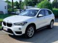 usato BMW X1