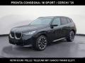 usato BMW X3