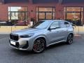 usato BMW X1