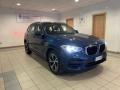 usato BMW X3