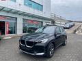 usato BMW X1