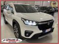 usato SUZUKI S Cross