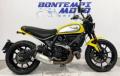 usato DUCATI Scrambler 800