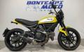 usato DUCATI Scrambler 800