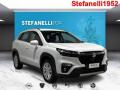 usato SUZUKI S Cross