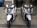 nuovo HONDA SH 350