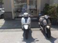 usato PIAGGIO Beverly 300 i e 