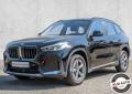 usato BMW X1