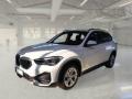 usato BMW X1